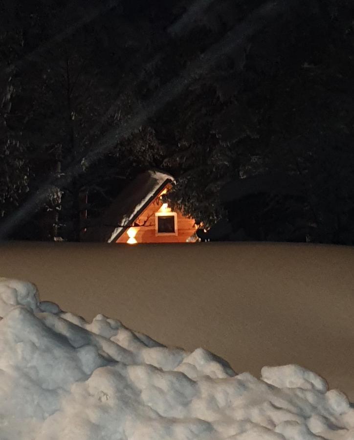 Hisa Zimazakon Bloke Villa Nova Vas  Bagian luar foto
